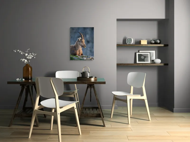 Tablou Canvas, "Capra neagră contemplând orizontul montan", 50 x 70 cm – poza 5
