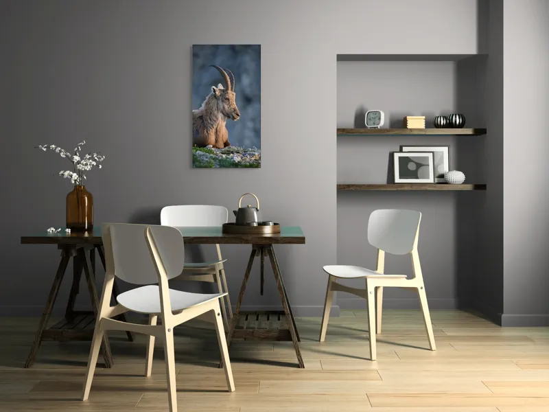 Tablou Canvas, "Capra neagră contemplând orizontul montan", 50 x 90 cm – poza 4