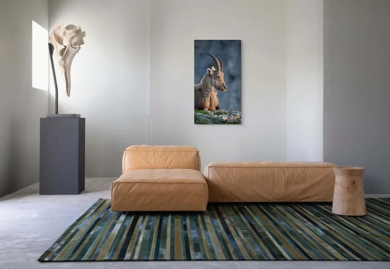 Tablou Canvas, "Capra neagră contemplând orizontul montan", 50 x 90 cm – poza 5