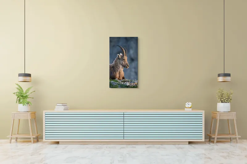 Tablou Canvas, "Capra neagră contemplând orizontul montan", 50 x 90 cm – poza 6