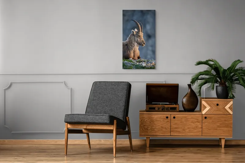 Tablou Canvas, "Capra neagră contemplând orizontul montan", 50 x 90 cm – poza 8