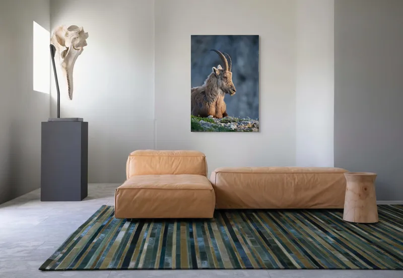 Tablou Canvas, "Capra neagră contemplând orizontul montan", 70 x 100 cm – poza 7