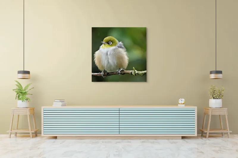 Tablou Canvas, Pufos, Delicat, Ochi-Alb, Ramură, Verde, Frunză, Pene, Natură, Privitor, Plăcut., 100 x 100 cm – poza 5