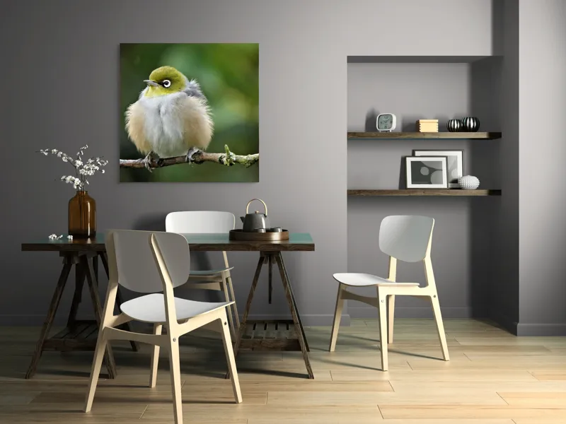 Tablou Canvas, Pufos, Delicat, Ochi-Alb, Ramură, Verde, Frunză, Pene, Natură, Privitor, Plăcut., 100 x 100 cm – poza 6