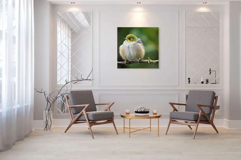 Tablou Canvas, Pufos, Delicat, Ochi-Alb, Ramură, Verde, Frunză, Pene, Natură, Privitor, Plăcut., 100 x 100 cm – poza 7