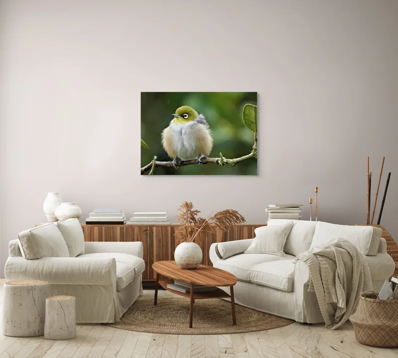 Tablou Canvas, Pufos, Delicat, Ochi-Alb, Ramură, Verde, Frunză, Pene, Natură, Privitor, Plăcut., 100 x 70 cm – poza 3