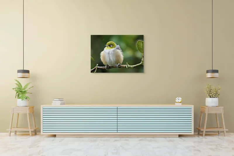 Tablou Canvas, Pufos, Delicat, Ochi-Alb, Ramură, Verde, Frunză, Pene, Natură, Privitor, Plăcut., 100 x 70 cm – poza 4