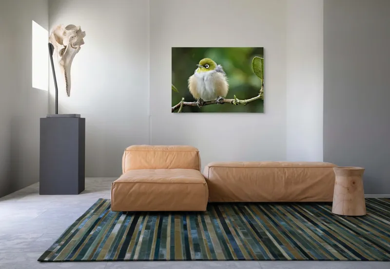 Tablou Canvas, Pufos, Delicat, Ochi-Alb, Ramură, Verde, Frunză, Pene, Natură, Privitor, Plăcut., 100 x 70 cm – poza 7