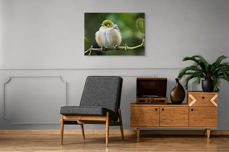 Tablou Canvas, Pufos, Delicat, Ochi-Alb, Ramură, Verde, Frunză, Pene, Natură, Privitor, Plăcut., 100 x 70 cm – poza 8