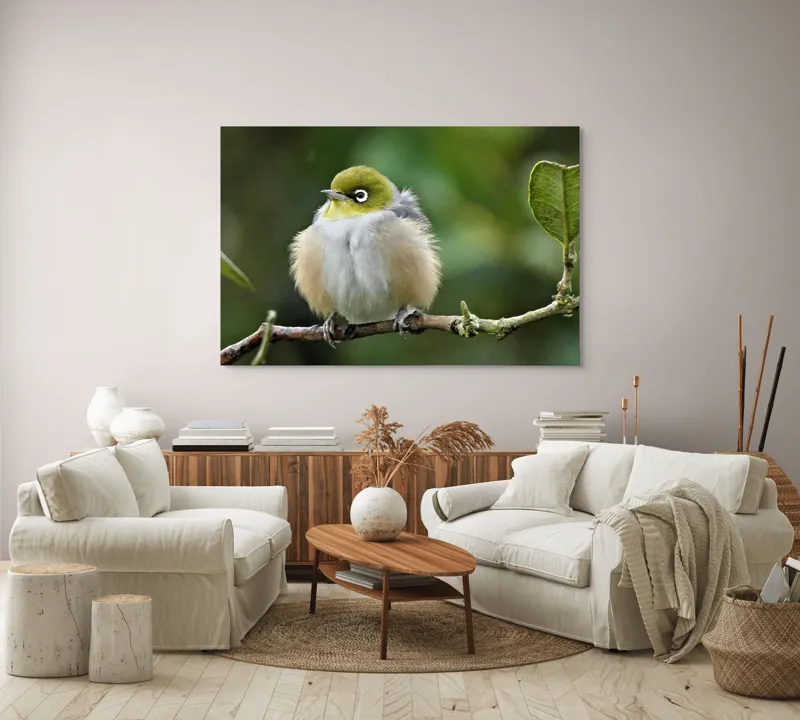 Tablou Canvas, Pufos, Delicat, Ochi-Alb, Ramură, Verde, Frunză, Pene, Natură, Privitor, Plăcut., 150 x 100 cm – poza 3