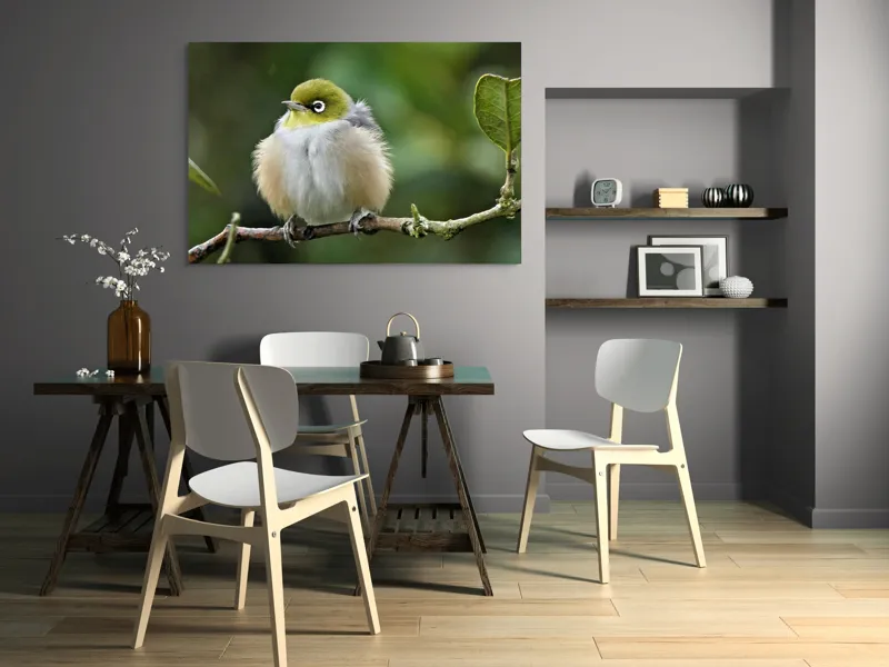 Tablou Canvas, Pufos, Delicat, Ochi-Alb, Ramură, Verde, Frunză, Pene, Natură, Privitor, Plăcut., 150 x 100 cm – poza 5