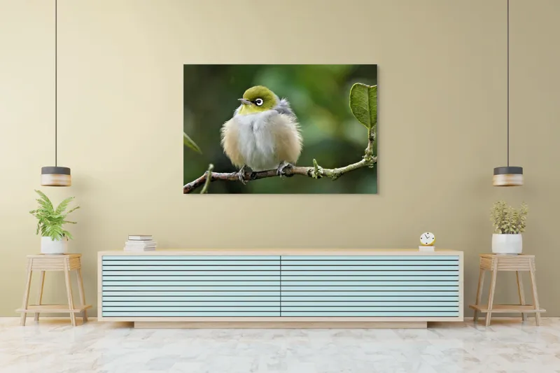 Tablou Canvas, Pufos, Delicat, Ochi-Alb, Ramură, Verde, Frunză, Pene, Natură, Privitor, Plăcut., 150 x 100 cm – poza 6