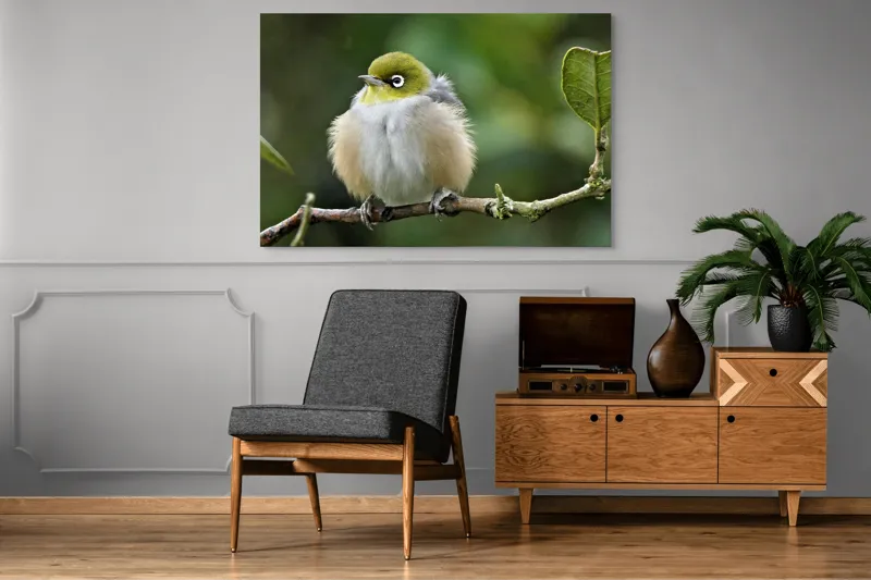 Tablou Canvas, Pufos, Delicat, Ochi-Alb, Ramură, Verde, Frunză, Pene, Natură, Privitor, Plăcut., 150 x 100 cm – poza 8