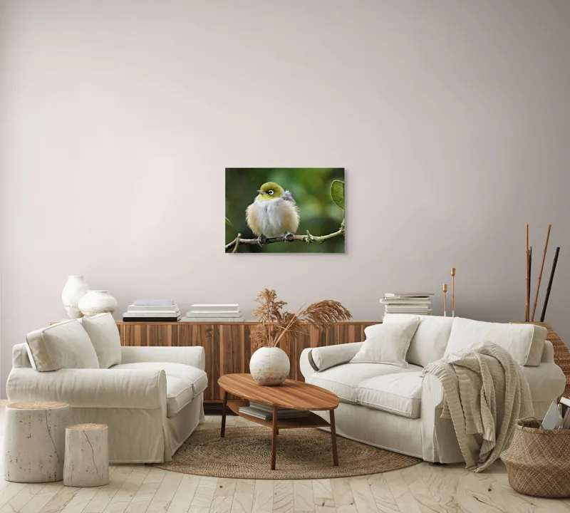 Tablou Canvas, "Eu nu știu cine este în imagine.", Pufos, Delicat, Ochi-Alb, Ramură, Verde, Frunză, Pene, Natură, Privitor, Plăcut., 70 x 50 cm – poza 6