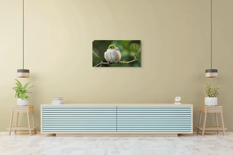 Tablou Canvas, Pufos, Delicat, Ochi-Alb, Ramură, Verde, Frunză, Pene, Natură, Privitor, Plăcut., 90 x 50 cm – poza 5