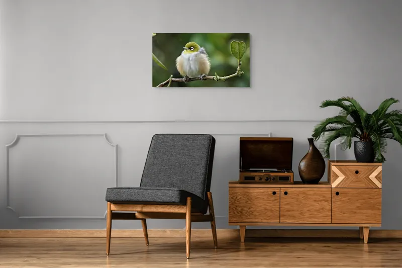 Tablou Canvas, Pufos, Delicat, Ochi-Alb, Ramură, Verde, Frunză, Pene, Natură, Privitor, Plăcut., 90 x 50 cm – poza 6