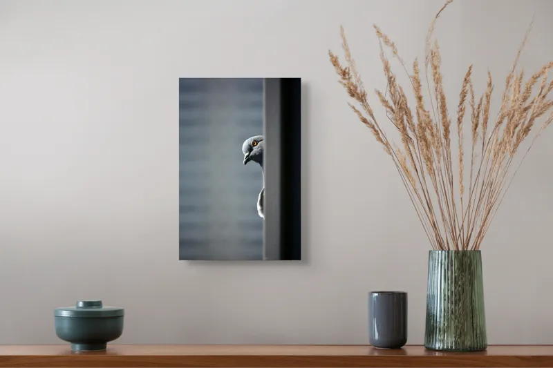 Tablou Canvas, "Porumbelul curios din umbră urbană", Porumbel, Privire, Curiozitate, Penaj, Zid, Umbre, Contrast, Intensitate, 26 x 39 cm – poza 5
