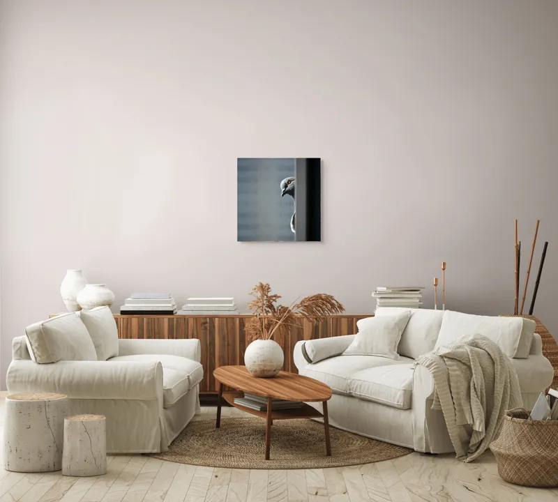 Tablou Canvas, "Porumbelul curios din umbră urbană", Porumbel, Privire, Curiozitate, Penaj, Zid, Umbre, Contrast, Intensitate, 50 x 50 cm – poza 7