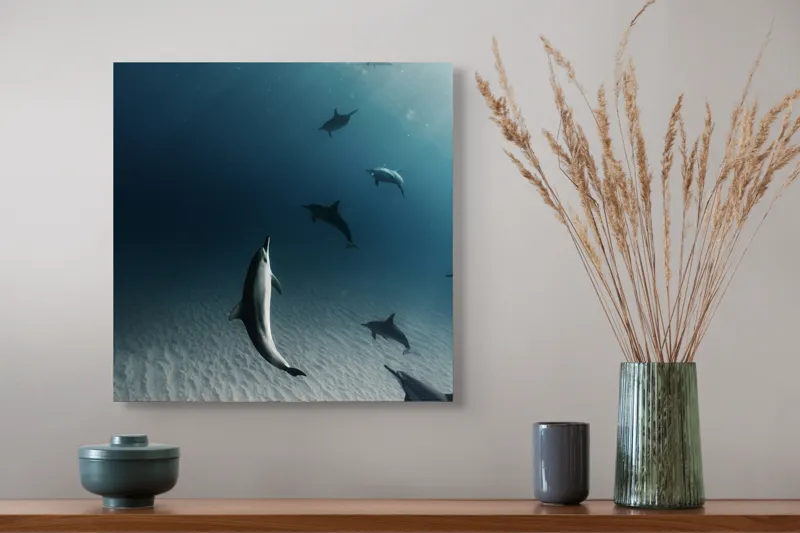 Tablou Canvas, "Dansul grațios al delfinilor sub apă", Delfini, Ocean, Lumina, Nisip, Albastru, Curent, Armonie, Explorare, 50 x 50 cm – poza 4
