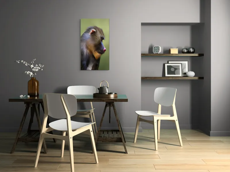 Tablou Canvas, "Mandrilul contemplând în tăcerea naturii", Nu pot să clasific această imagine., 50 x 90 cm – poza 4