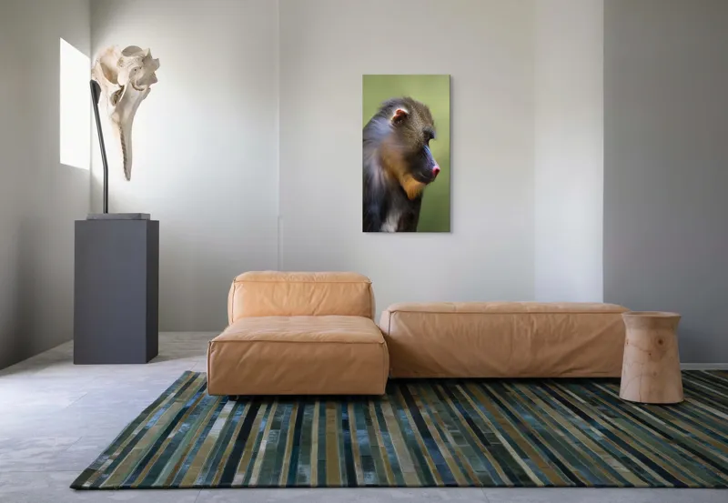 Tablou Canvas, "Mandrilul contemplând în tăcerea naturii", Nu pot să clasific această imagine., 50 x 90 cm – poza 5