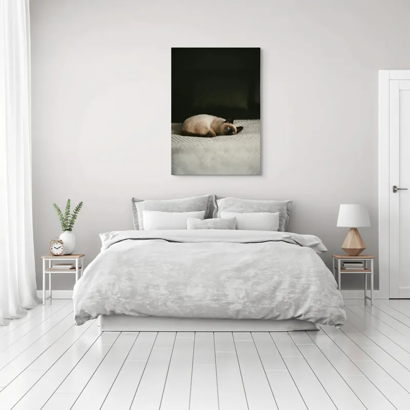 Tablou Canvas, "Pisica visând pe covor crem", Blană, Pisică, Relaxare, Privire, Liniște, 70 x 100 cm – poza 3
