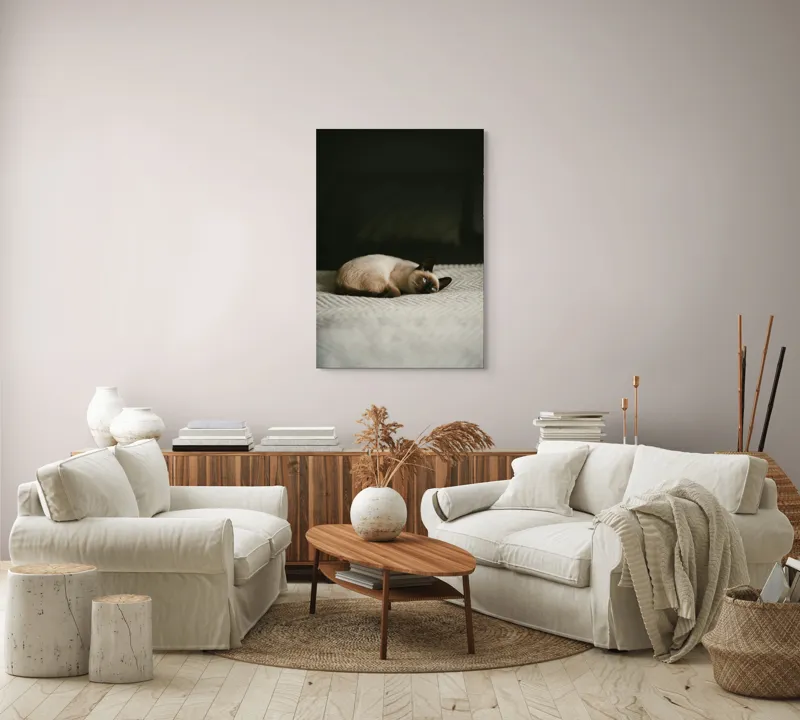 Tablou Canvas, "Pisica visând pe covor crem", Blană, Pisică, Relaxare, Privire, Liniște, 70 x 100 cm – poza 4