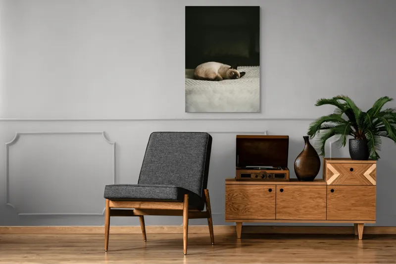 Tablou Canvas, "Pisica visând pe covor crem", Blană, Pisică, Relaxare, Privire, Liniște, 70 x 100 cm – poza 6
