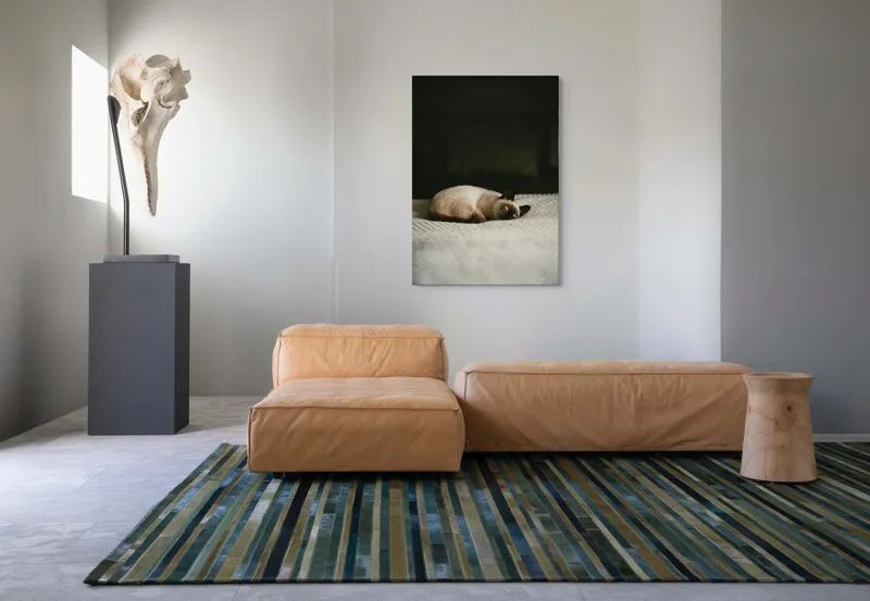 Tablou Canvas, "Pisica visând pe covor crem", Blană, Pisică, Relaxare, Privire, Liniște, 70 x 100 cm – poza 7