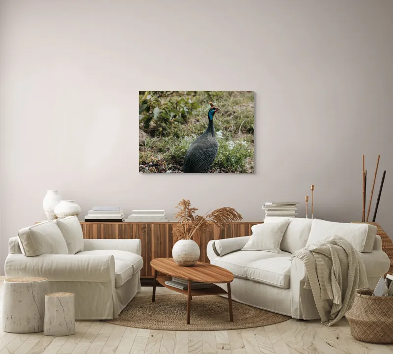 Tablou Canvas, "Păsărea de pe câmpul verde", Pasăre, Pestriț, Pene, Natură, Verdeață, Plante, Ambient, Cerulean, Peisaj, Exotic, 100 x 70 cm – poza 3