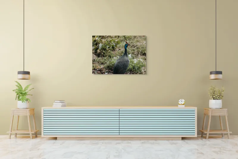 Tablou Canvas, "Păsărea de pe câmpul verde", Pasăre, Pestriț, Pene, Natură, Verdeață, Plante, Ambient, Cerulean, Peisaj, Exotic, 100 x 70 cm – poza 4