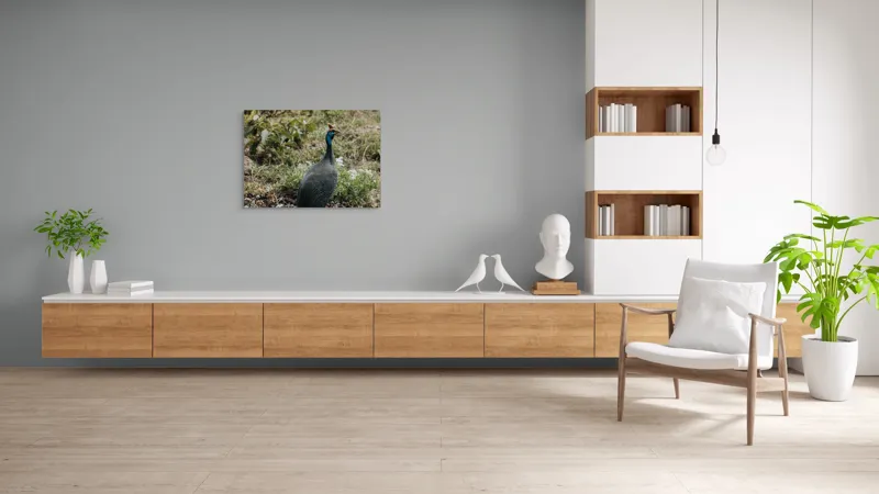 Tablou Canvas, "Păsărea de pe câmpul verde", Pasăre, Pestriț, Pene, Natură, Verdeață, Plante, Ambient, Cerulean, Peisaj, Exotic, 100 x 70 cm – poza 6