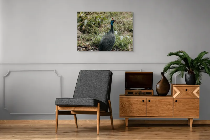 Tablou Canvas, "Păsărea de pe câmpul verde", Pasăre, Pestriț, Pene, Natură, Verdeață, Plante, Ambient, Cerulean, Peisaj, Exotic, 100 x 70 cm – poza 8