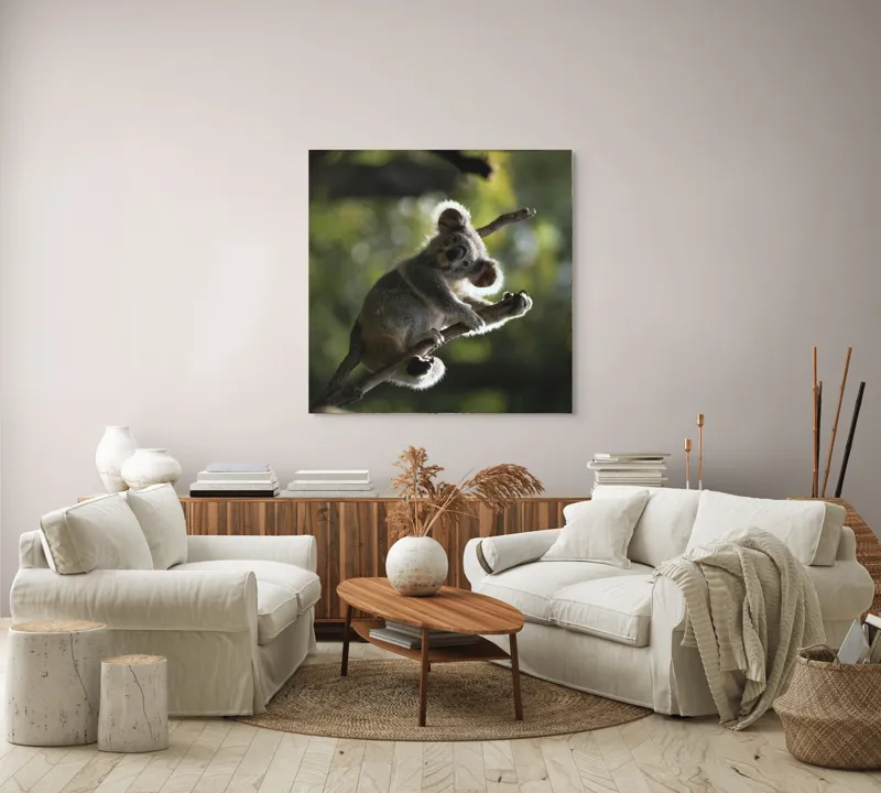 Tablou Canvas, "Koala la odihnă între crengi luminoase", 100 x 100 cm – poza 3