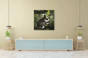 Tablou Canvas, "Koala la odihnă între crengi luminoase", 100 x 100 cm – poza 5
