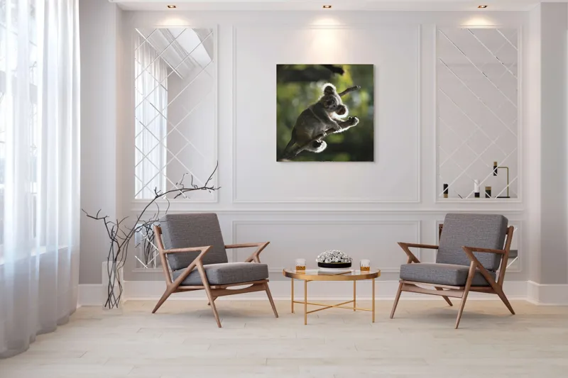 Tablou Canvas, "Koala la odihnă între crengi luminoase", 100 x 100 cm – poza 7