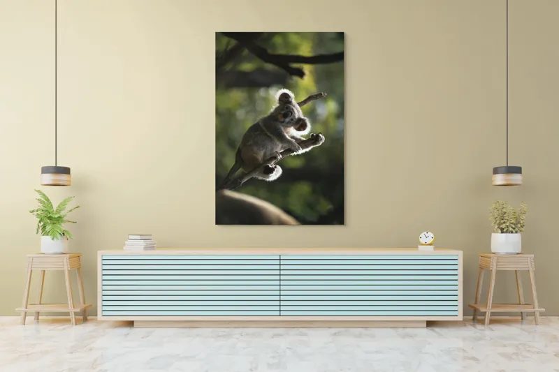 Tablou Canvas, "Koala la odihnă între crengi luminoase", 100 x 150 cm – poza 4