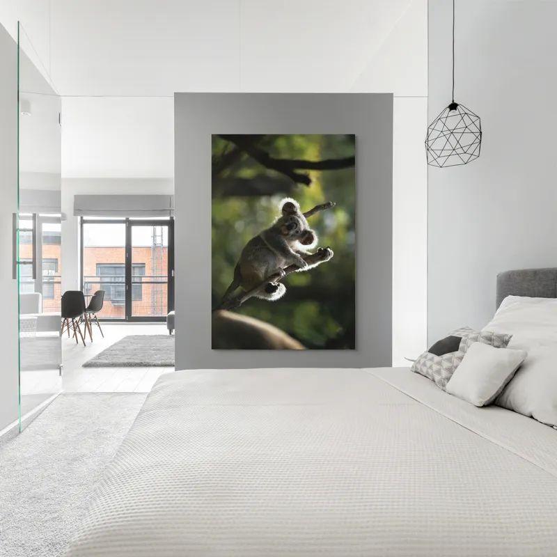 Tablou Canvas, "Koala la odihnă între crengi luminoase", 100 x 150 cm – poza 5