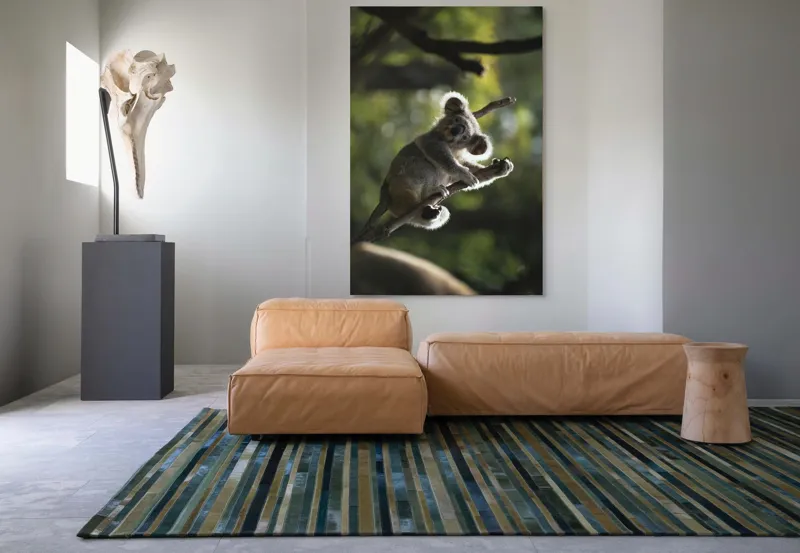 Tablou Canvas, "Koala la odihnă între crengi luminoase", 100 x 150 cm – poza 7