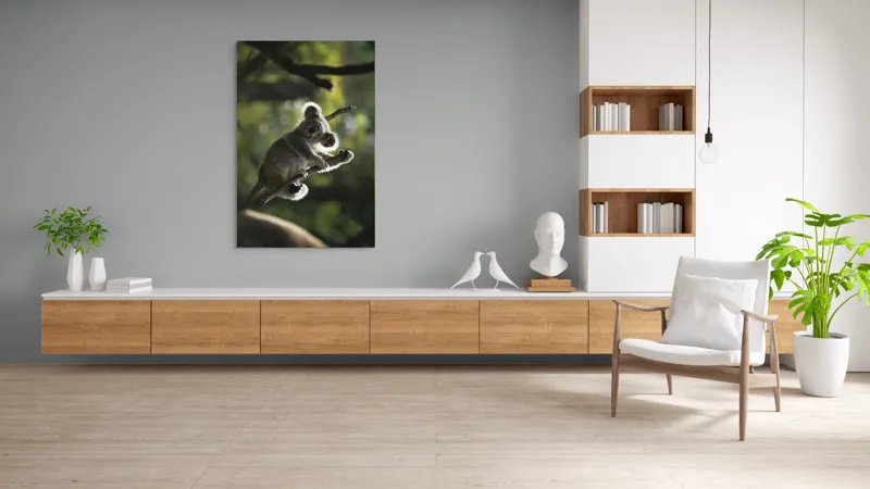 Tablou Canvas, "Koala la odihnă între crengi luminoase", 100 x 150 cm – poza 8