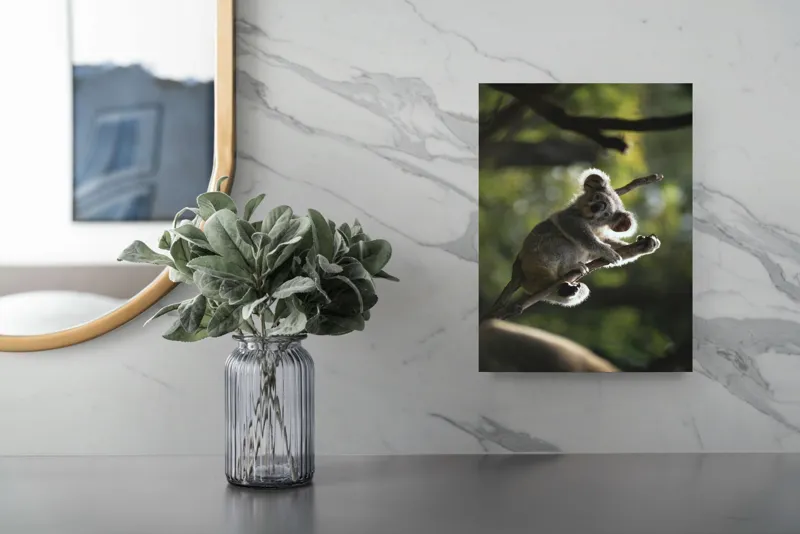 Tablou Canvas, "Koala la odihnă între crengi luminoase", 26 x 39 cm – poza 4