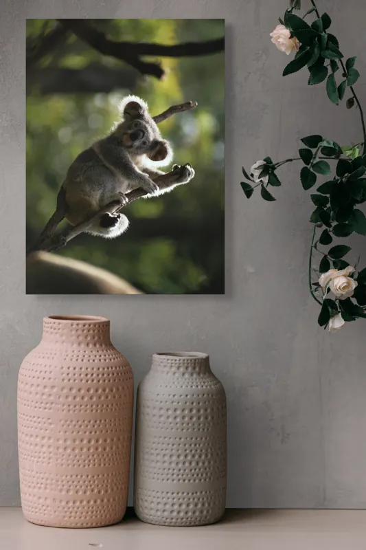 Tablou Canvas, "Koala la odihnă între crengi luminoase", 39 x 54 cm – poza 6