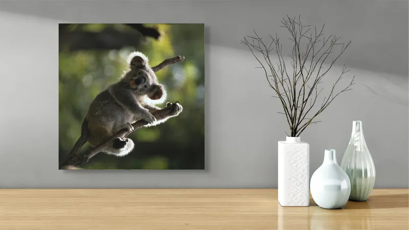 Tablou Canvas, "Koala la odihnă între crengi luminoase", 50 x 50 cm – poza 3