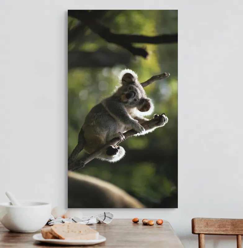 Tablou Canvas, "Koala la odihnă între crengi luminoase", 50 x 90 cm – poza 3