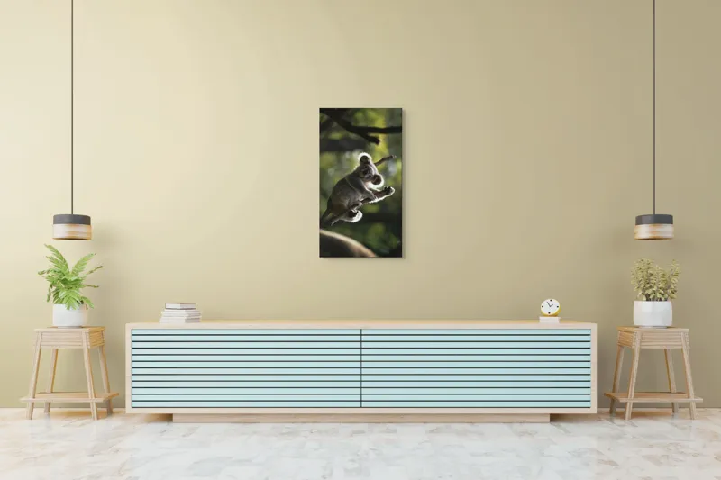 Tablou Canvas, "Koala la odihnă între crengi luminoase", 50 x 90 cm – poza 6