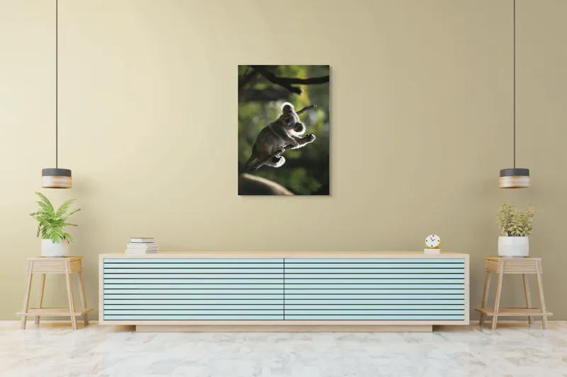Tablou Canvas, "Koala la odihnă între crengi luminoase", 70 x 100 cm – poza 5