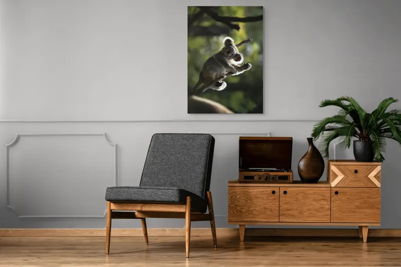 Tablou Canvas, "Koala la odihnă între crengi luminoase", 70 x 100 cm – poza 6