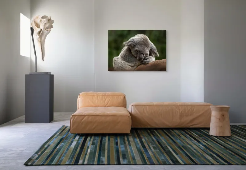 Tablou Canvas, "Koala dormind în îmbrățișarea lemnului", Somn, Liniște, Blândețe, Natură, Mângâiere, Pădure, Relaxare, Blană, 100 x 70 cm – poza 7
