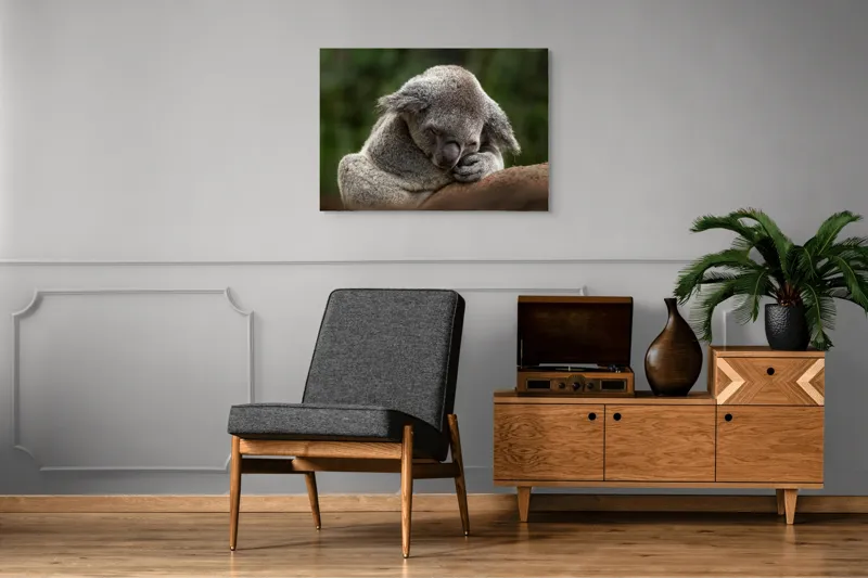 Tablou Canvas, "Koala dormind în îmbrățișarea lemnului", Somn, Liniște, Blândețe, Natură, Mângâiere, Pădure, Relaxare, Blană, 100 x 70 cm – poza 8