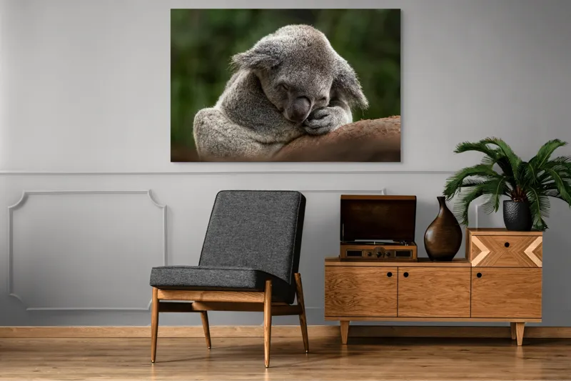 Tablou Canvas, "Koala dormind în îmbrățișarea lemnului", Somn, Liniște, Blândețe, Natură, Mângâiere, Pădure, Relaxare, Blană, 150 x 100 cm – poza 8